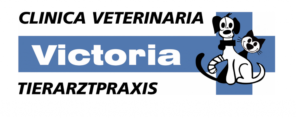 Clinica-veterinaria-victoria-