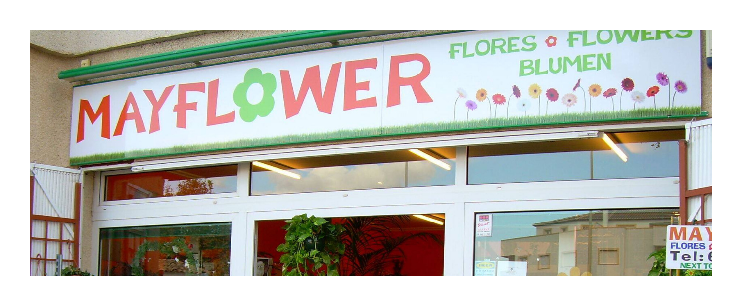 Mayflower Florist Javea Florists and Flower Shops in Javea